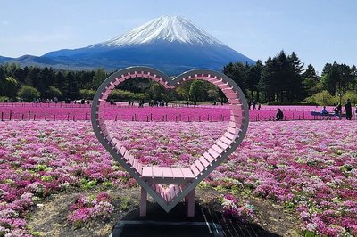 🏞️ 세타가야 구립 아카마츠 공원